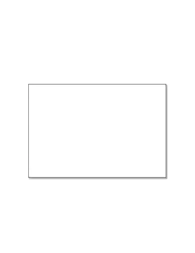 SUPPORT CARTONNE BLANC - SAFE (par 10)