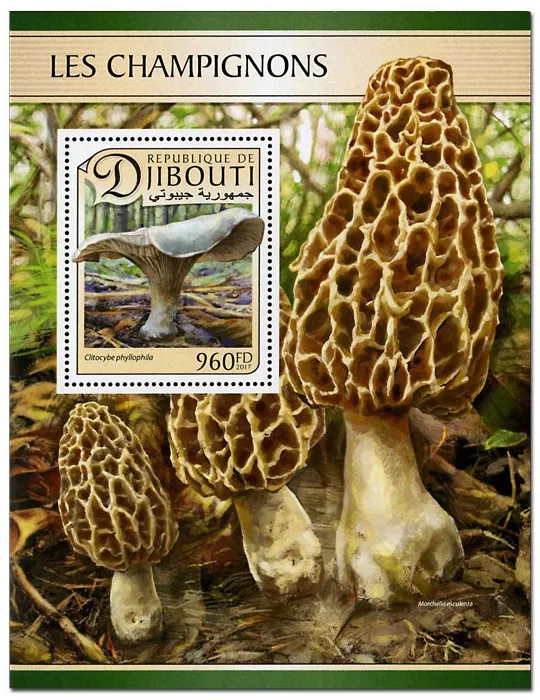 n° 149 - Timbre DJIBOUTI Blocs et feuillets