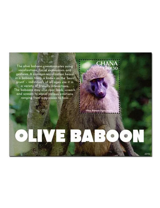 n° 604 - Timbre GHANA Blocs et feuillets