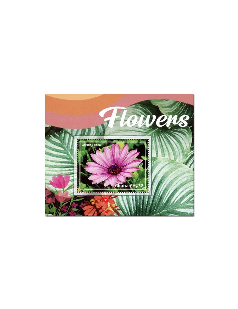 n° 607 - Timbre GHANA Blocs et feuillets