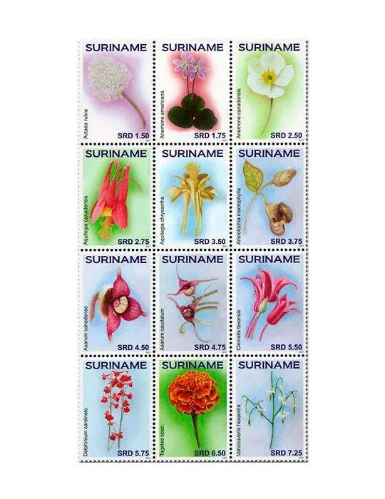 n° 2648/2659 - Timbre SURINAM Poste