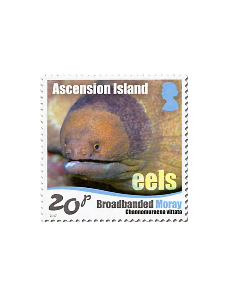 n° 1175/1180 - Timbre ASCENSION Poste