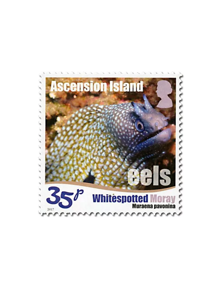 n° 1175/1180 - Timbre ASCENSION Poste