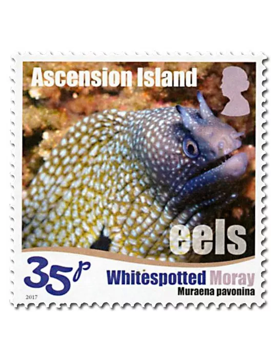 n° 1175/1180 - Timbre ASCENSION Poste