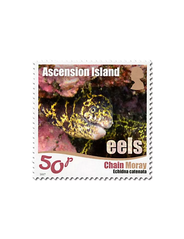 n° 1175/1180 - Timbre ASCENSION Poste