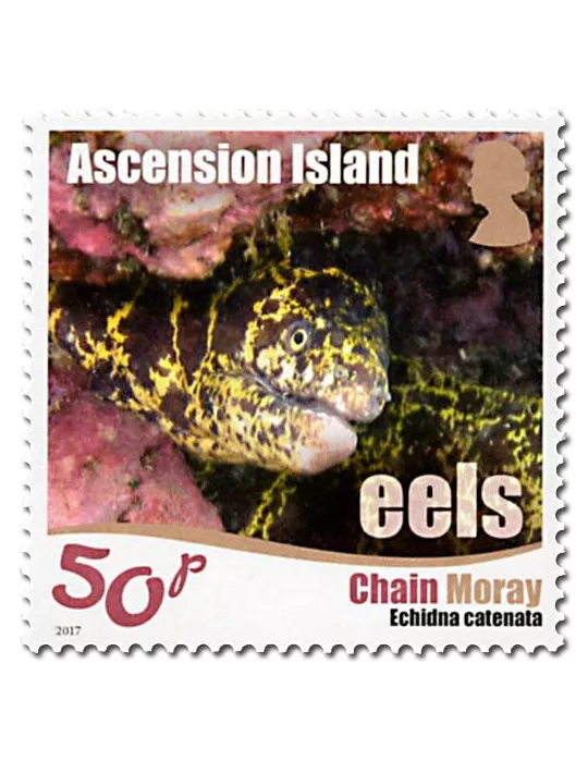 n° 1175/1180 - Timbre ASCENSION Poste