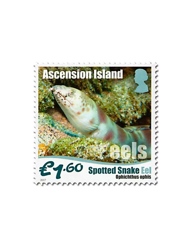 n° 1175/1180 - Timbre ASCENSION Poste