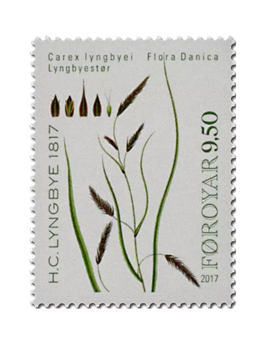 n° 892/895 - Timbre ILE FEROE Poste