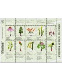 n° 3517/3526 - Timbre PAYS-BAS Poste