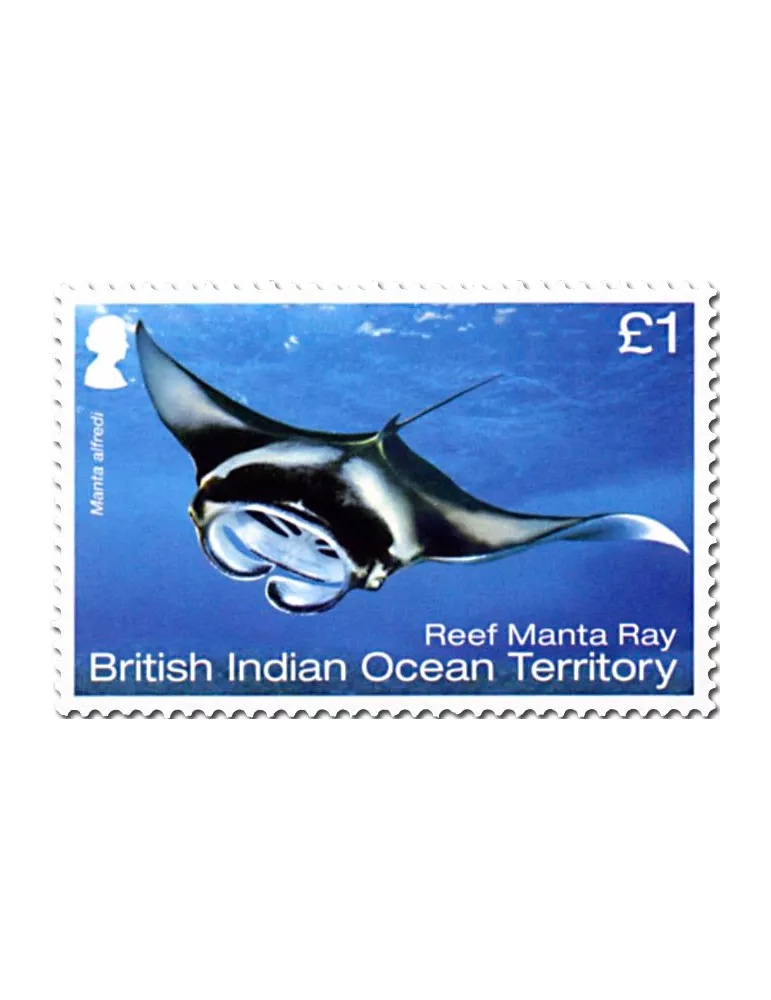 n° 514/519 - Timbre OCEAN INDIEN Poste