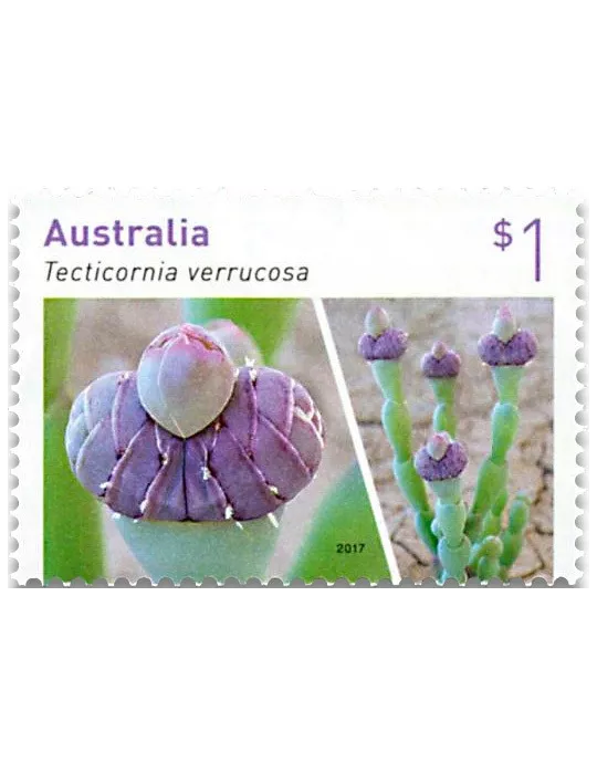 n° 4470/4473 - Timbre AUSTRALIE Poste