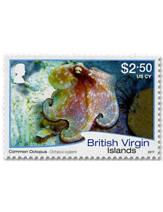 n° 1144/1155 - Timbre VIERGES Poste