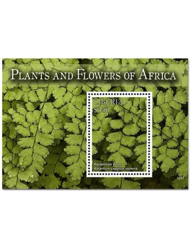 n° 711 - Timbre LIBERIA Blocs et feuillets