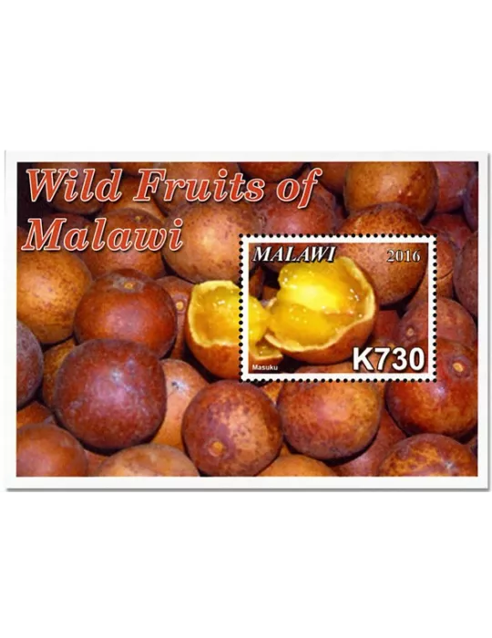 n° 109/114 - Timbre MALAWI Blocs et feuillets