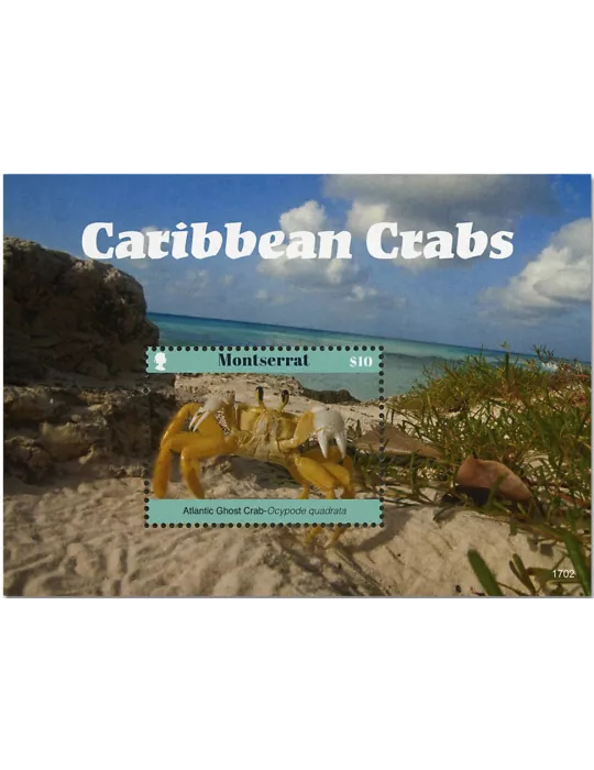 n° 175 - Timbre MONTSERRAT Blocs et feuillets