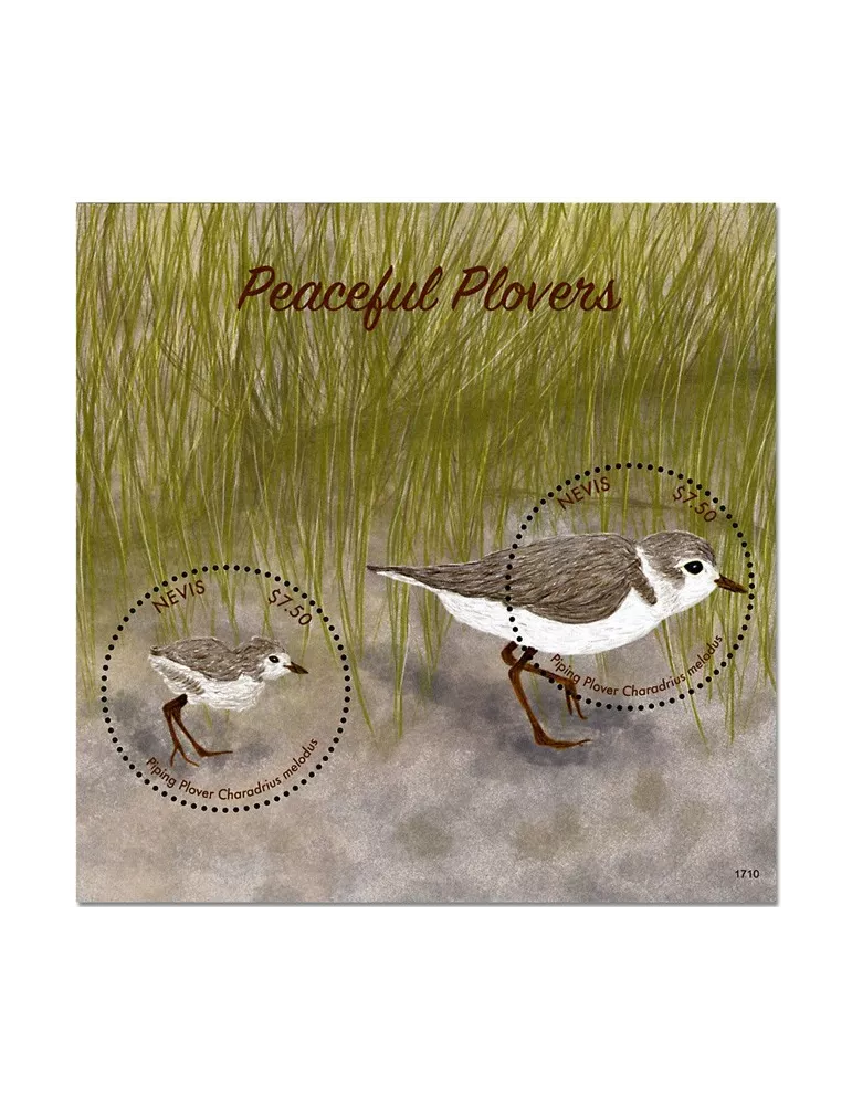 n° 383 - Timbre NEVIS Blocs et feuillets