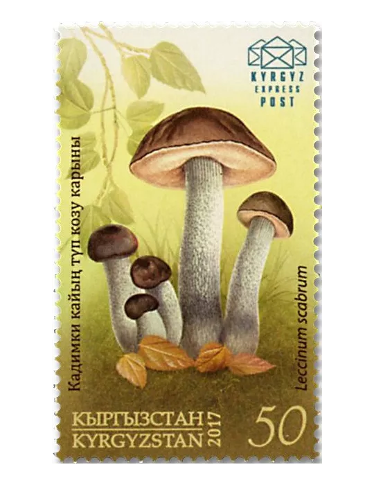 n° 46/49 - Timbre KIRGHIZISTAN (Kyrgyz Express Post) Poste