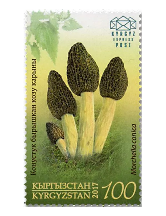 n° 46/49 - Timbre KIRGHIZISTAN (Kyrgyz Express Post) Poste
