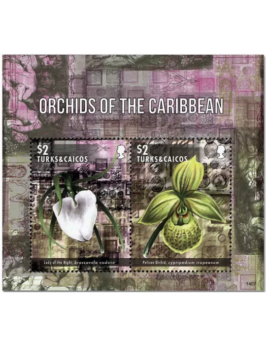 n° 257A - Timbre TURKS ET CAIQUES Blocs et feuillets