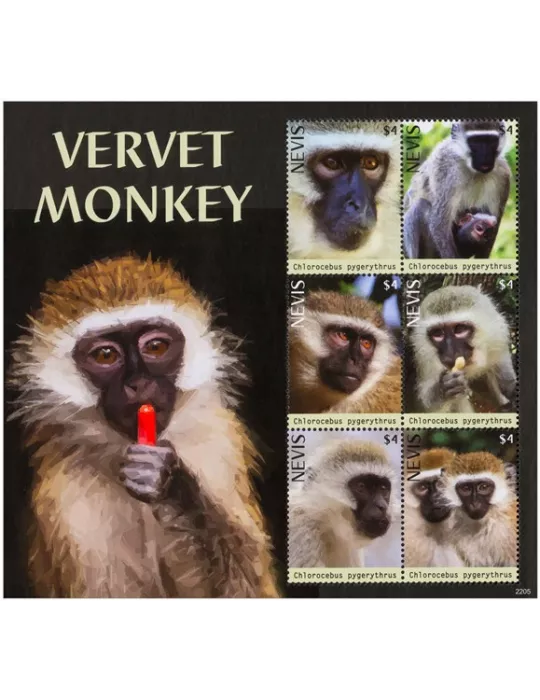 n° 2984/2989 - Timbre NEVIS Poste