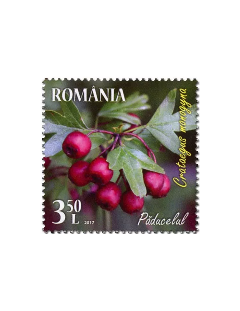 n° 6201/6204 - Timbre ROUMANIE Poste