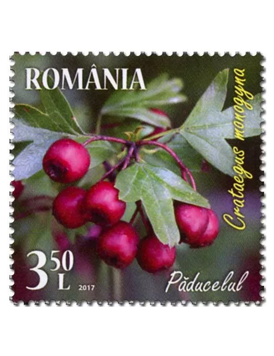 n° 6201/6204 - Timbre ROUMANIE Poste
