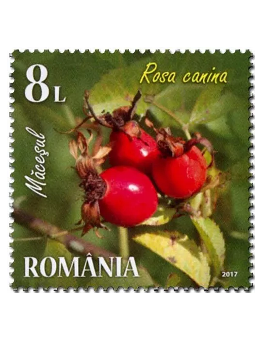 n° 6201/6204 - Timbre ROUMANIE Poste