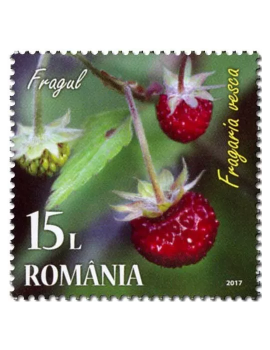 n° 6201/6204 - Timbre ROUMANIE Poste