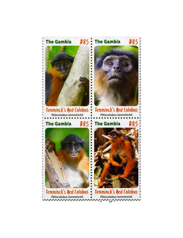 n° 5686/5689 - Timbre GAMBIE Poste