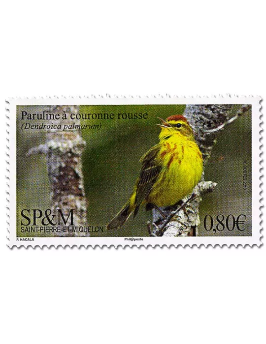 n° 1197 - Timbre Saint-Pierre et Miquelon Poste