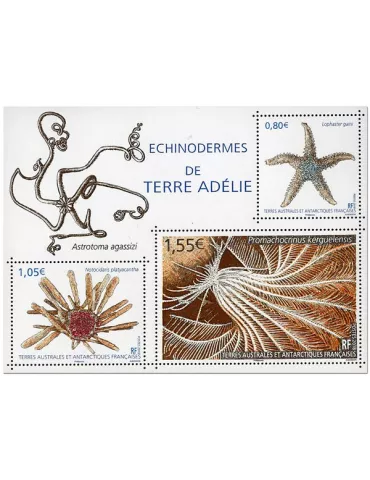 n° F865 - Timbre TAAF Poste