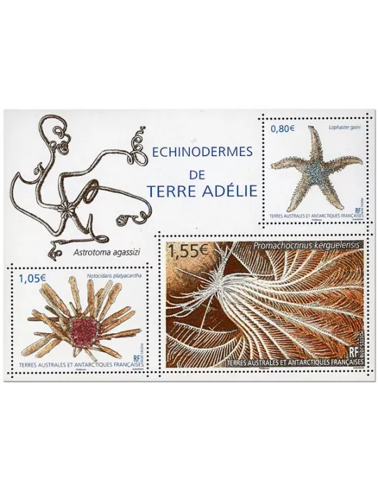 n° F865 - Timbre TAAF Poste