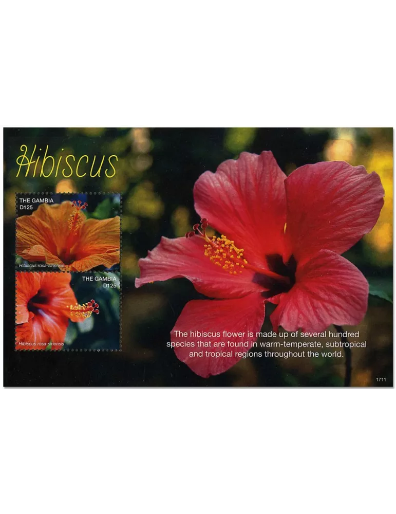 n° 889 - Timbre GAMBIE Blocs et feuillets