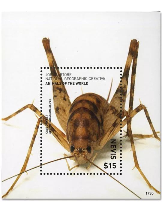 n° 384 - Timbre NEVIS Blocs et feuillets