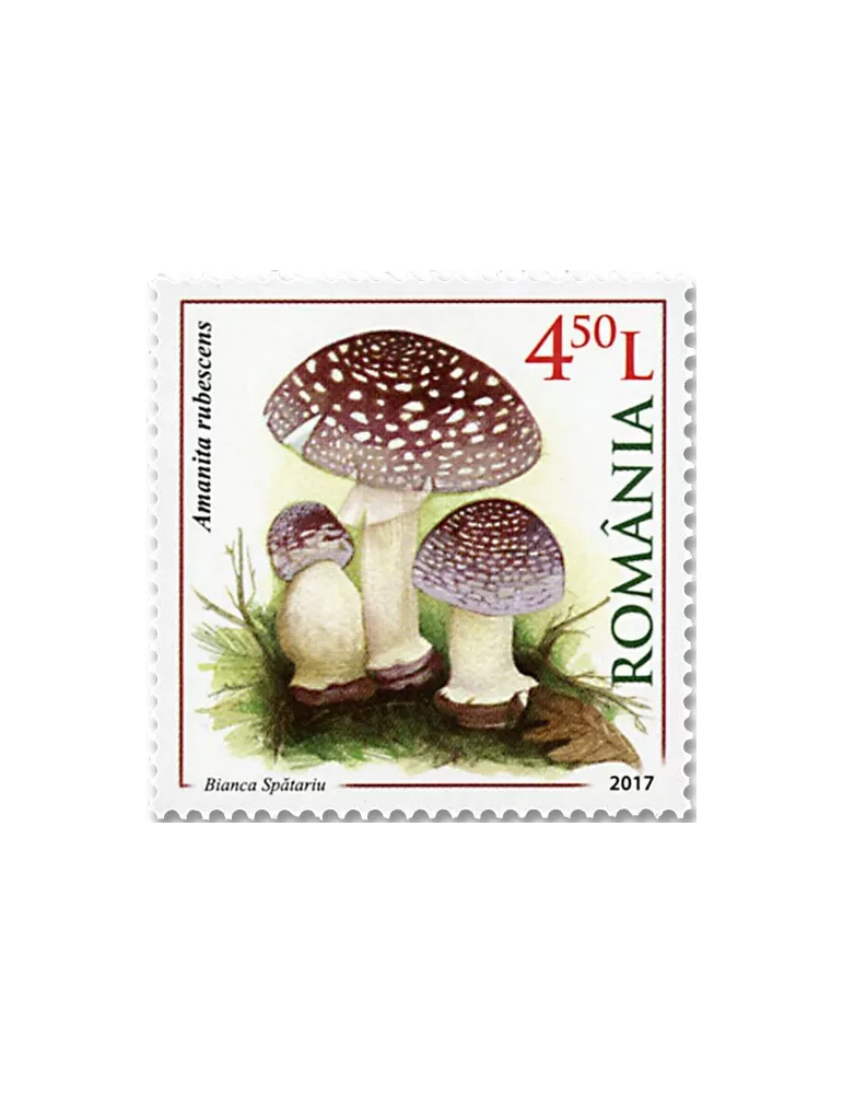 n° 6205/6208 - Timbre ROUMANIE Poste