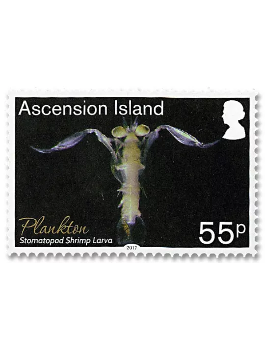 n° 1185/1190 - Timbre ASCENSION Poste