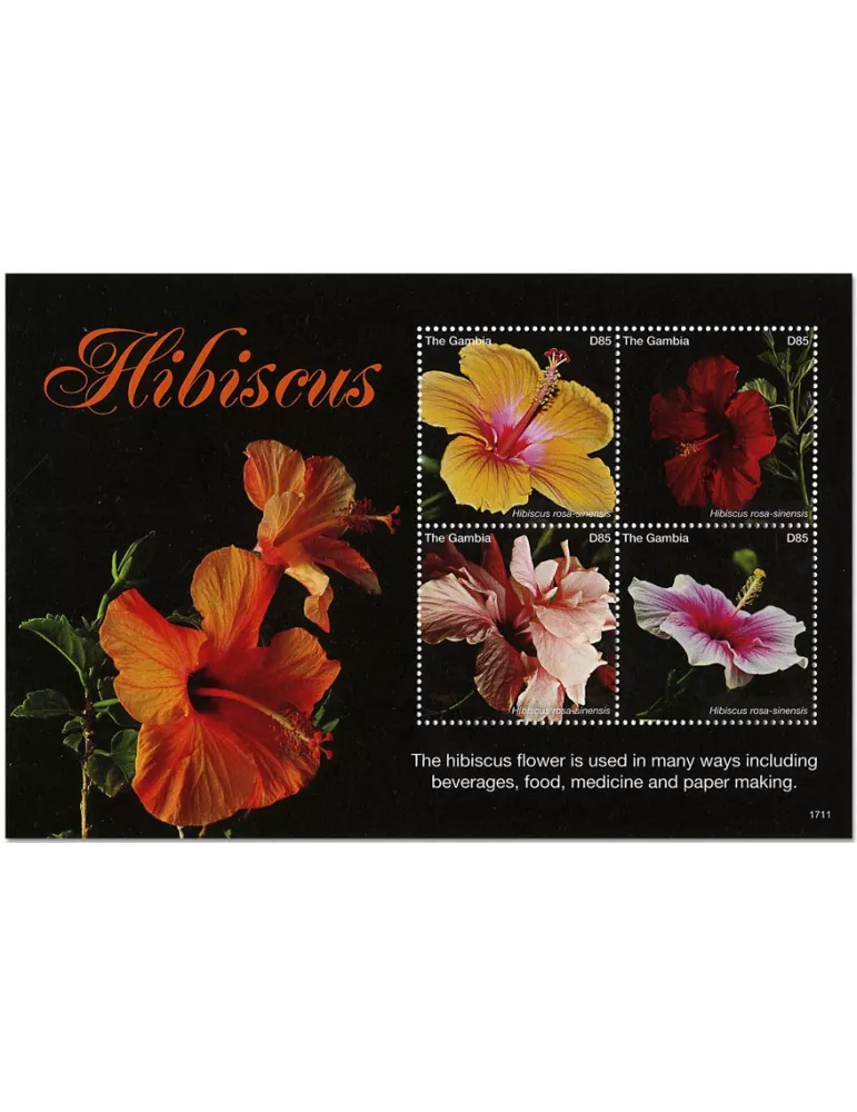 n° 5794/5797 - Timbre GAMBIE Poste