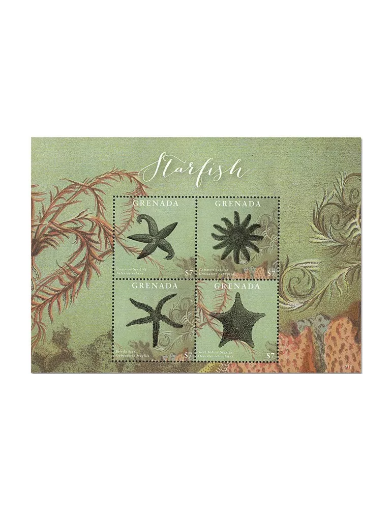 n° 6101/6104 - Timbre GRENADE Poste