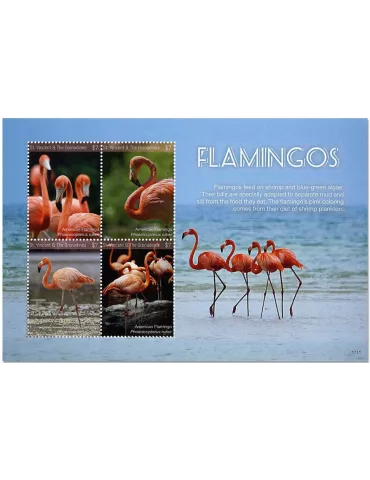 n° 6246/6249 - Timbre SAINT-VINCENT Poste