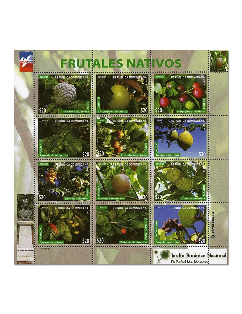 n° 1963/1974 - Timbre DOMINICAINE Poste