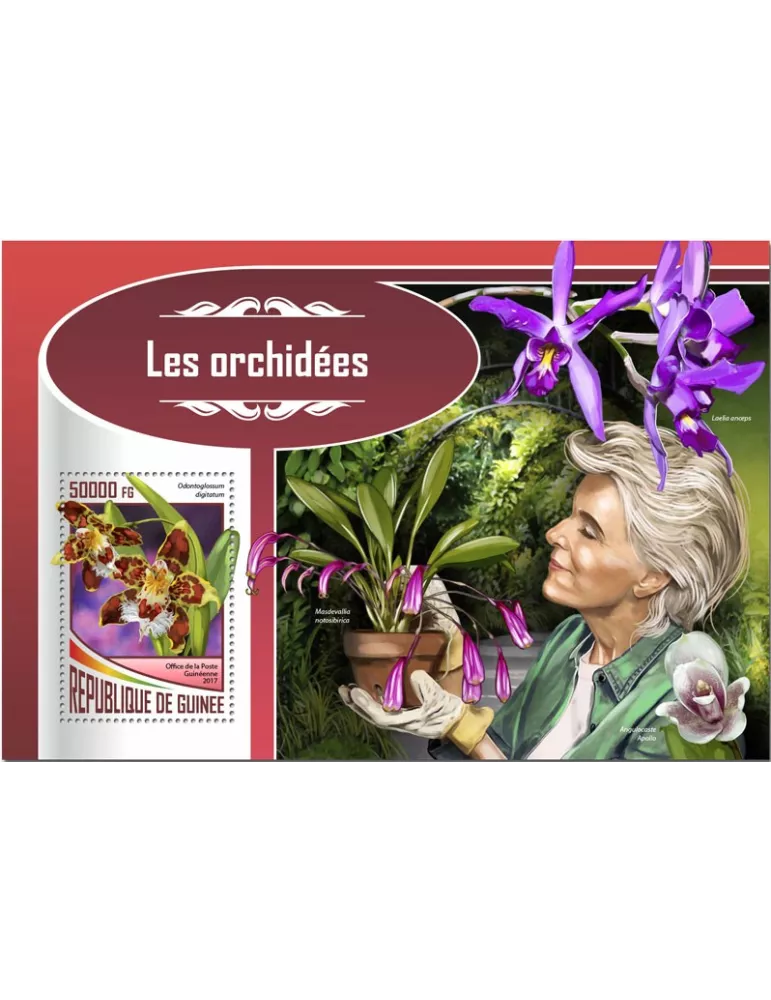 n° 2135 - Timbre GUINÉE Blocs et feuillets