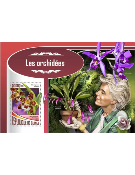 n° 2135 - Timbre GUINÉE Blocs et feuillets