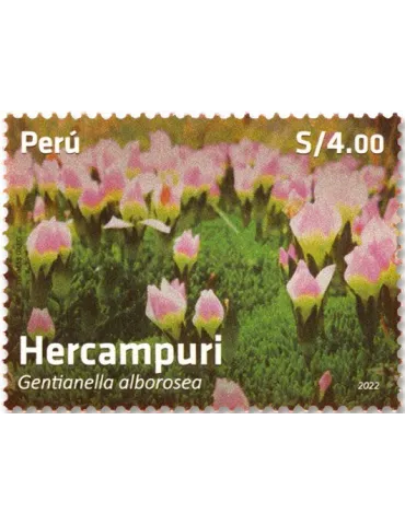 n° 2252/2253 - Timbre PEROU Poste