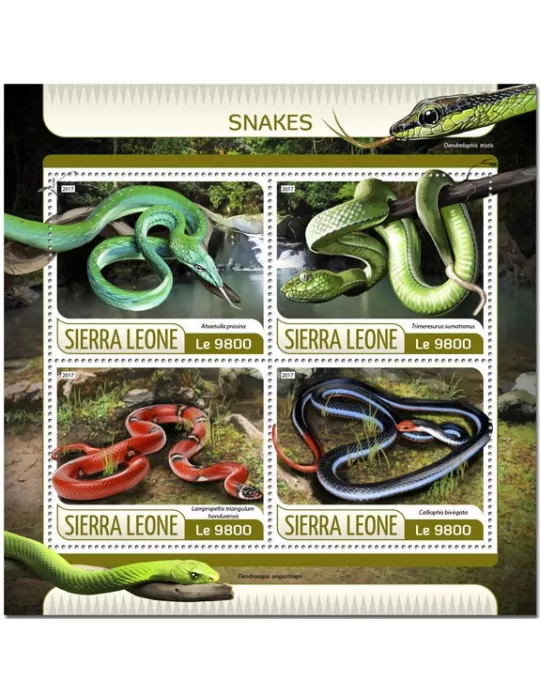 n° 7037/7040 - Timbre SIERRA LEONE Poste