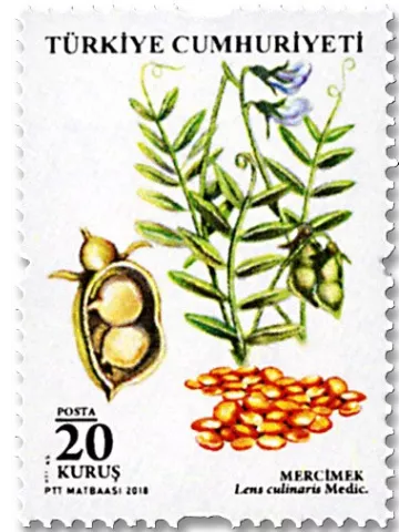 n° 3870/3875 - Timbre TURQUIE Poste