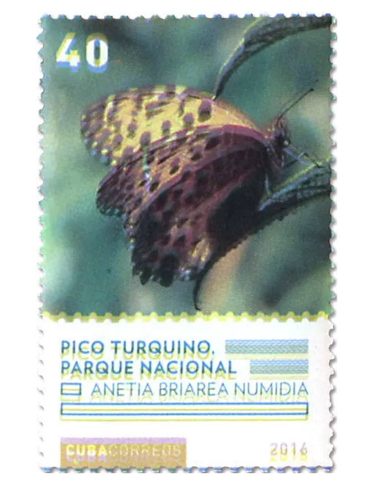 n° 5523/5526 - Timbre CUBA Poste