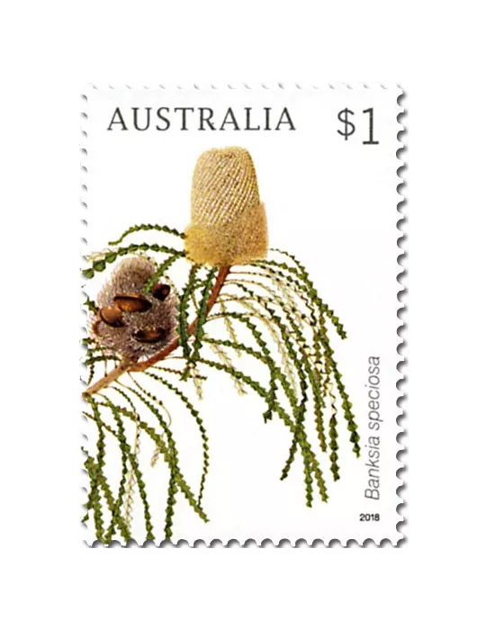 n° 4566/4569 - Timbre AUSTRALIE Poste