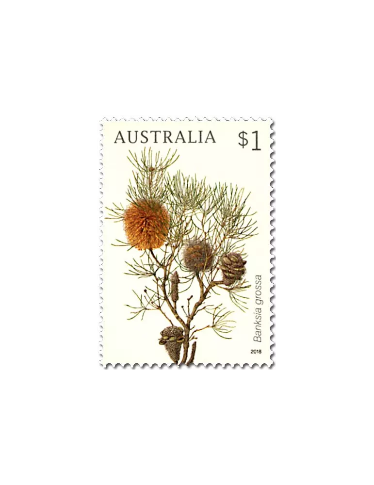 n° 4566/4569 - Timbre AUSTRALIE Poste