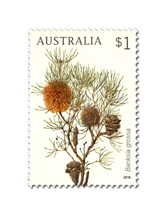 n° 4566/4569 - Timbre AUSTRALIE Poste