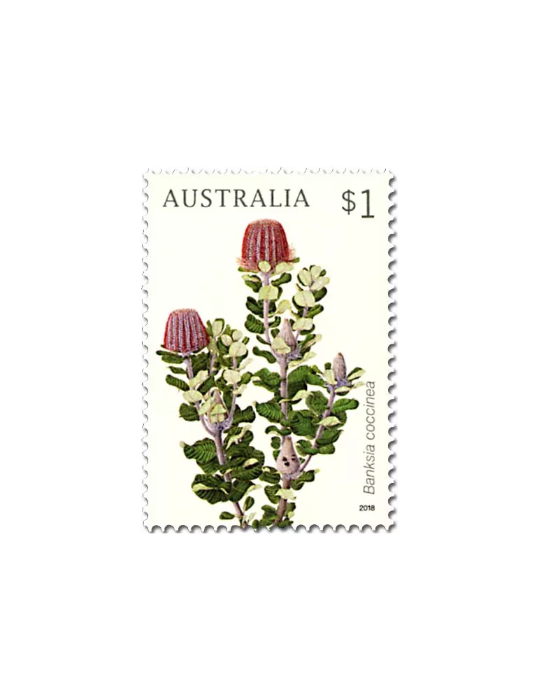 n° 4566/4569 - Timbre AUSTRALIE Poste